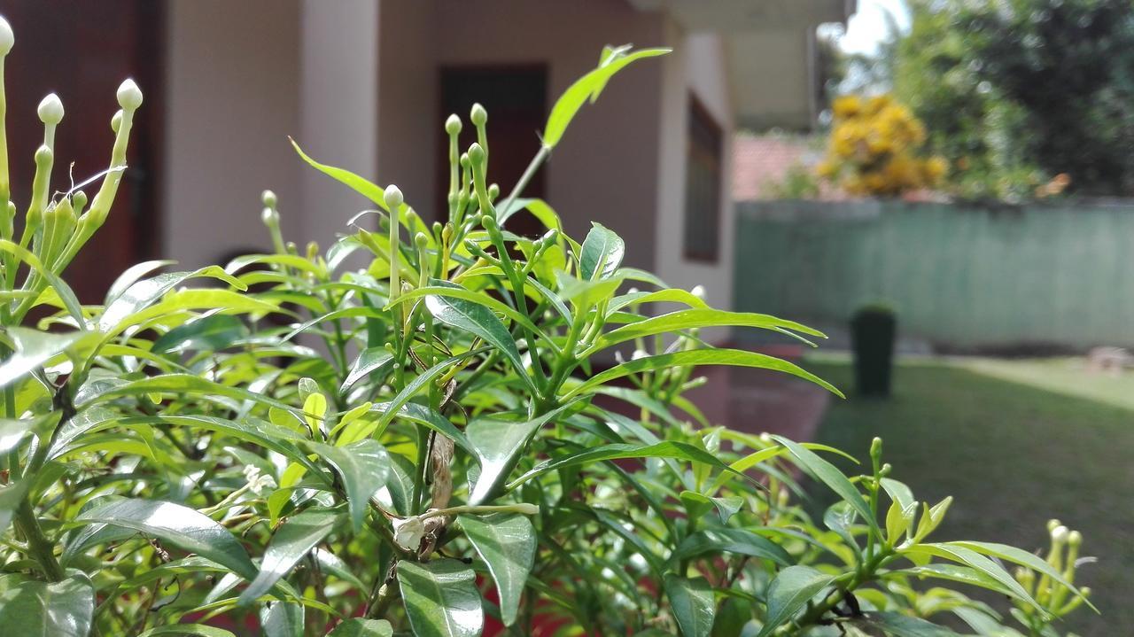 Mutu Villa Dikwella Luaran gambar